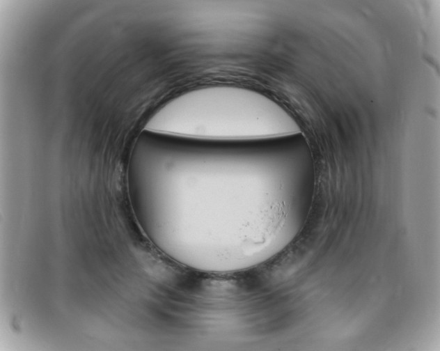 X0000095900649200801110806