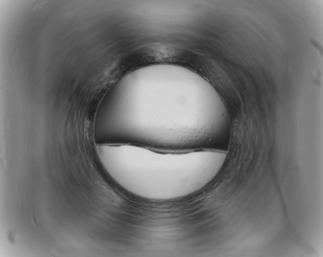 X0000095900650200801110806