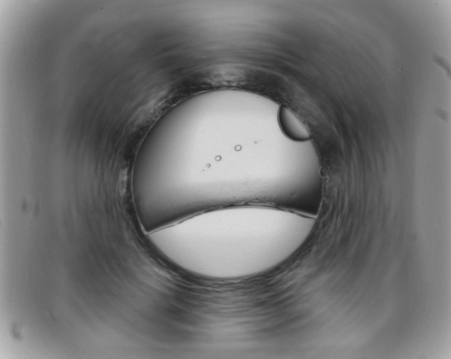 X0000095900652200801110806