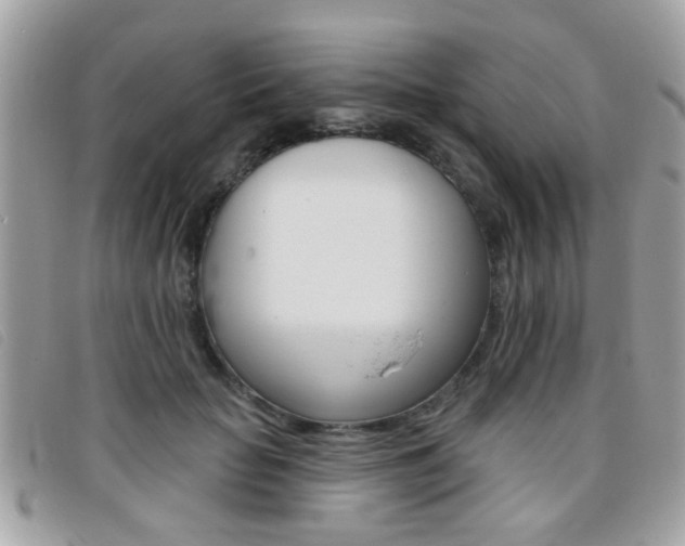 X0000095900653200801110806