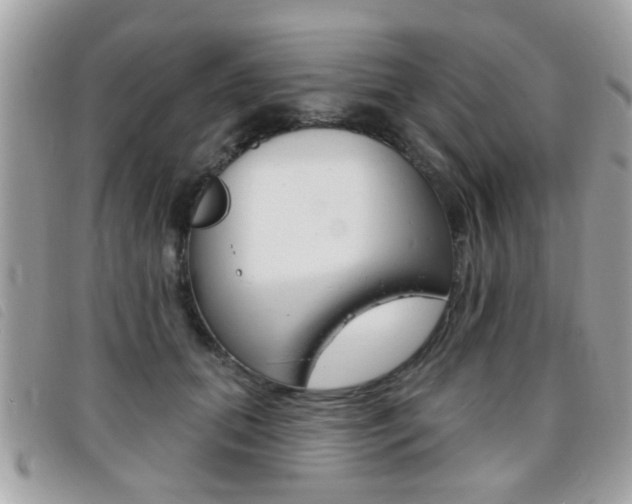 X0000095900655200801110806