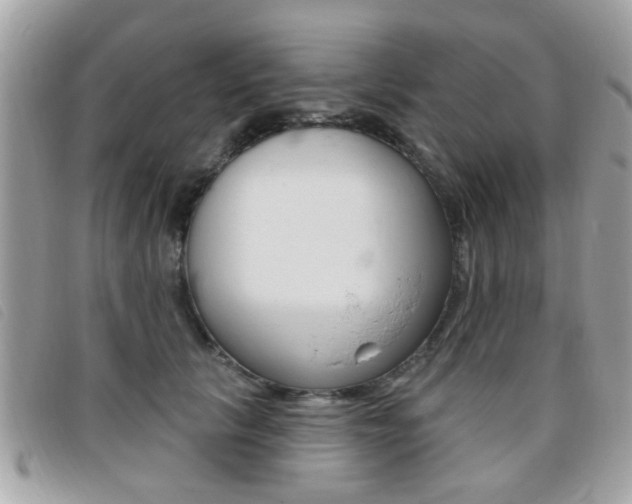 X0000095900657200801110806