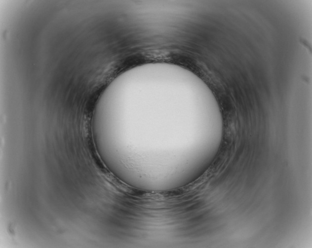 X0000095900658200801110806