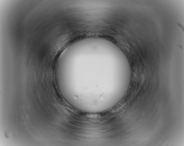 X0000095900659200801110806