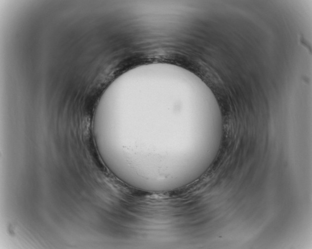 X0000095900660200801110806