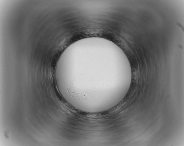 X0000095900662200801110806