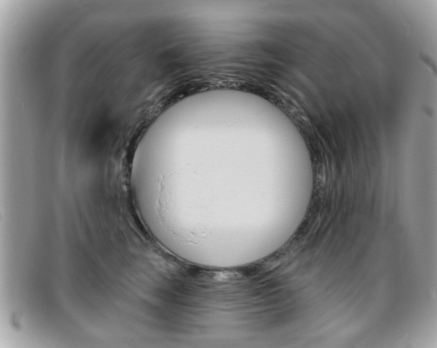 X0000095900663200801110806