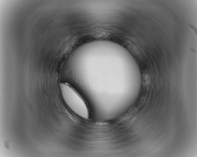 X0000095900664200801110806
