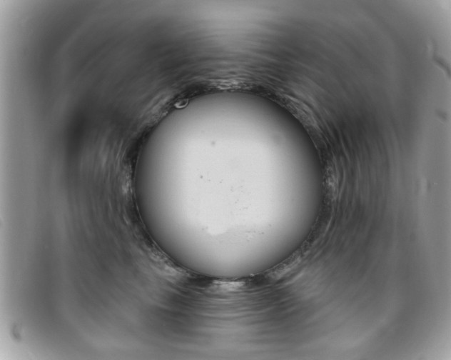 X0000095900665200801110806