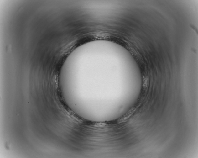 X0000095900666200801110806