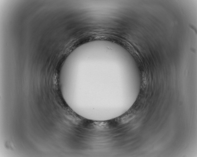 X0000095900667200801110806