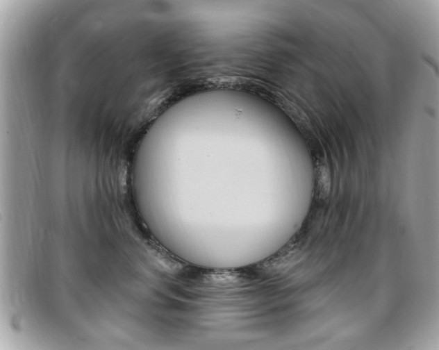 X0000095900668200801110806