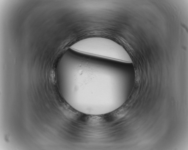 X0000095900669200801110806