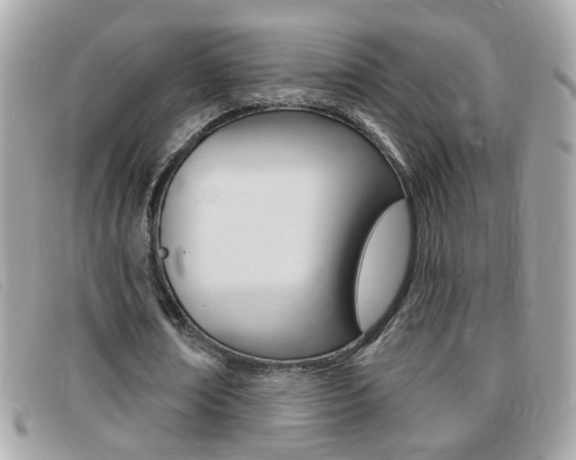 X0000095900674200801110805
