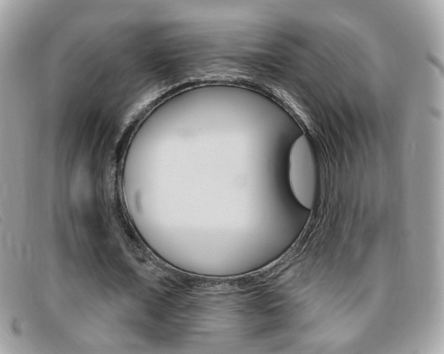 X0000095900675200801110805