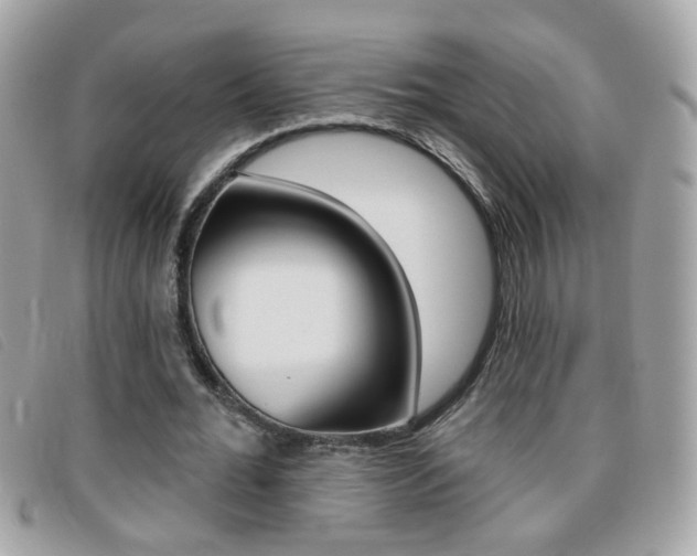 X0000095900676200801110805