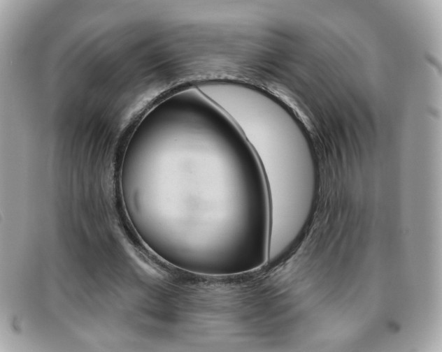 X0000095900677200801110805