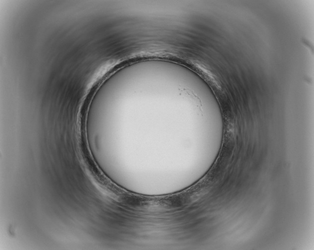 X0000095900678200801110805