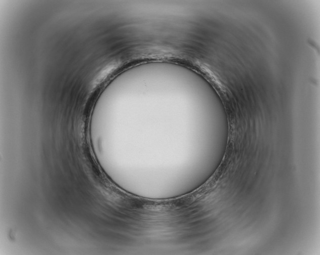 X0000095900679200801110805