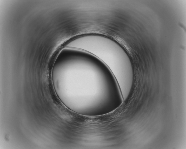 X0000095900680200801110805