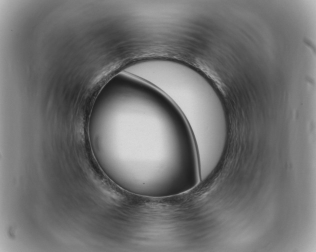 X0000095900681200801110805
