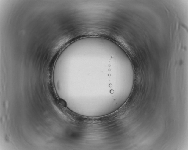 X0000095900683200801110805