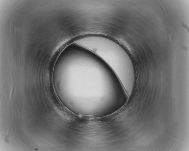 X0000095900684200801110805