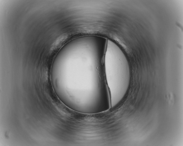 X0000095900685200801110805