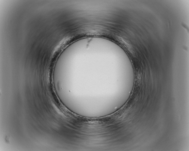 X0000095900686200801110805