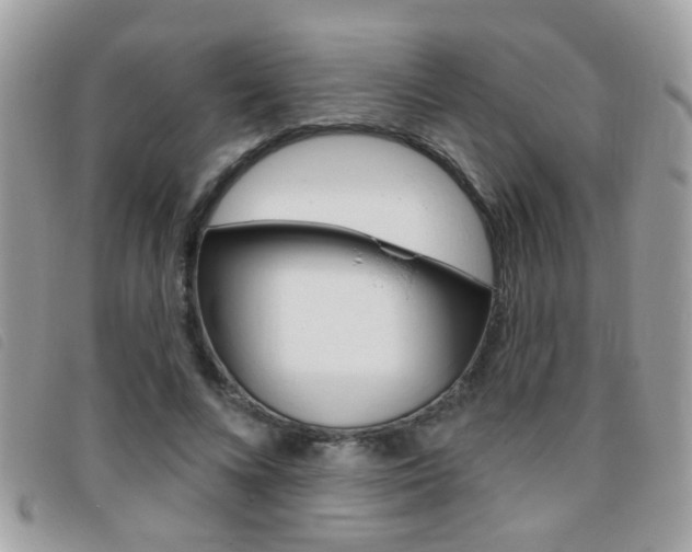 X0000095900688200801110805