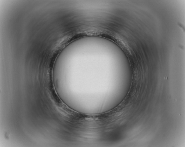 X0000095900690200801110805