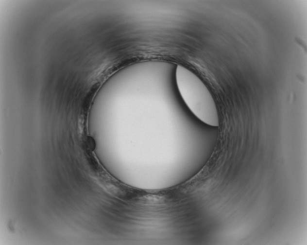X0000095900691200801110805