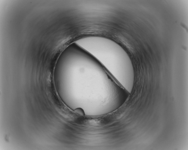 X0000095900692200801110805