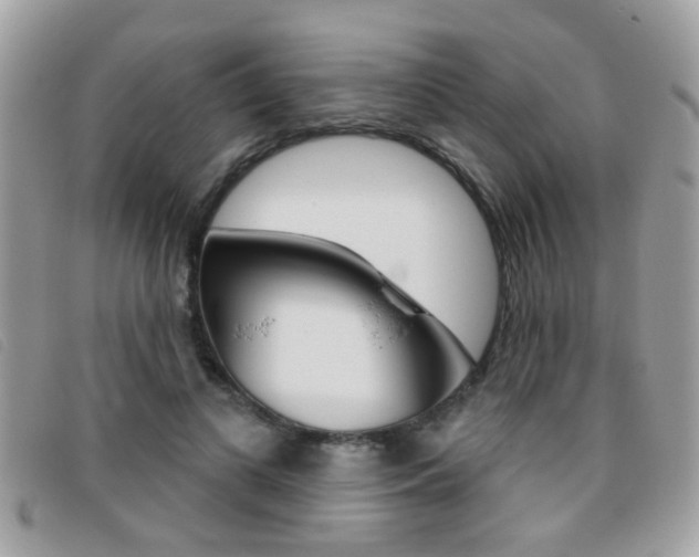 X0000095900693200801110805