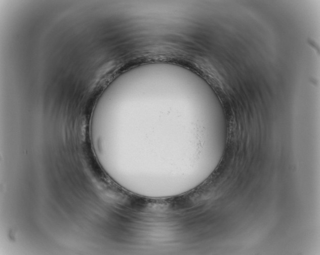 X0000095900694200801110805