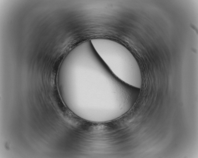 X0000095900695200801110805