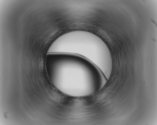 X0000095900697200801110805