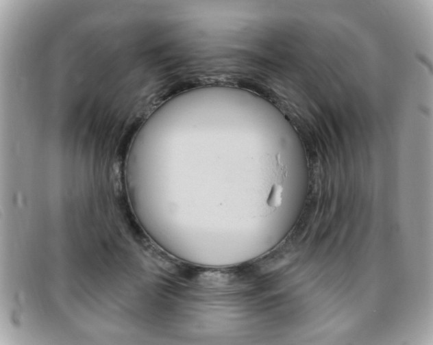 X0000095900699200801110805