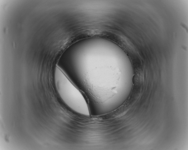X0000095900700200801110805