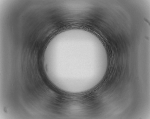 X0000095900701200801110805
