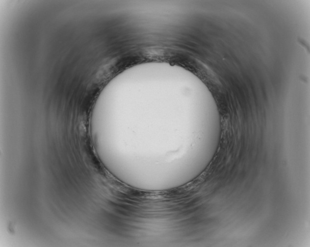 X0000095900702200801110805