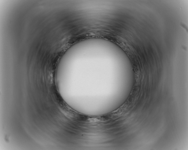 X0000095900703200801110805