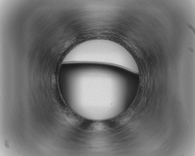 X0000095900704200801110805