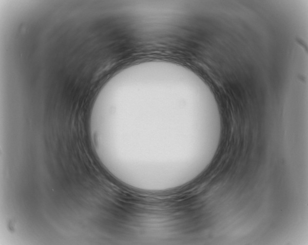 X0000095900705200801110805