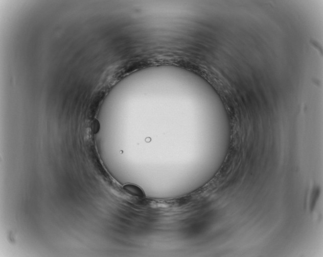 X0000095900706200801110805