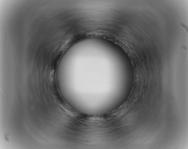 X0000095900708200801110805