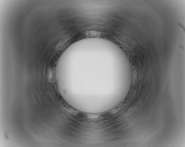 X0000095900709200801110805