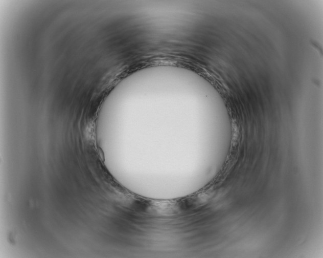 X0000095900713200801110805