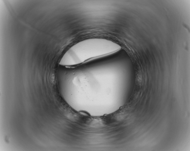 X0000095900715200801110805