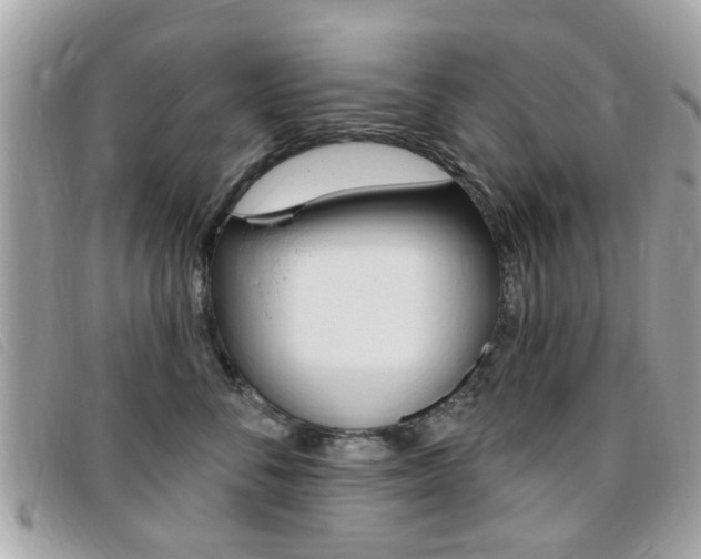 X0000095900716200801110805